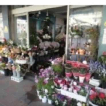 「フタバ園本店」　（兵庫県神戸市須磨区）の花屋店舗写真3