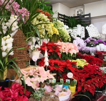 「フタバ園本店」　（兵庫県神戸市須磨区）の花屋店舗写真2